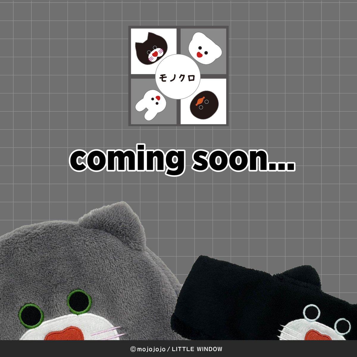 🖤◻️🖤◻️🖤◻️🖤◻️🖤◻️🖤◻️🖤◻️ SUNPLAZA NEWS📢 大人気