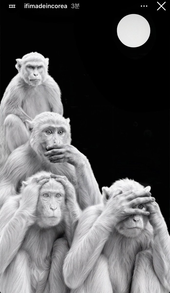 piing810's tweet image. 다같이 스토리 올리는거 귀엽넼ㅋㅋㅋ