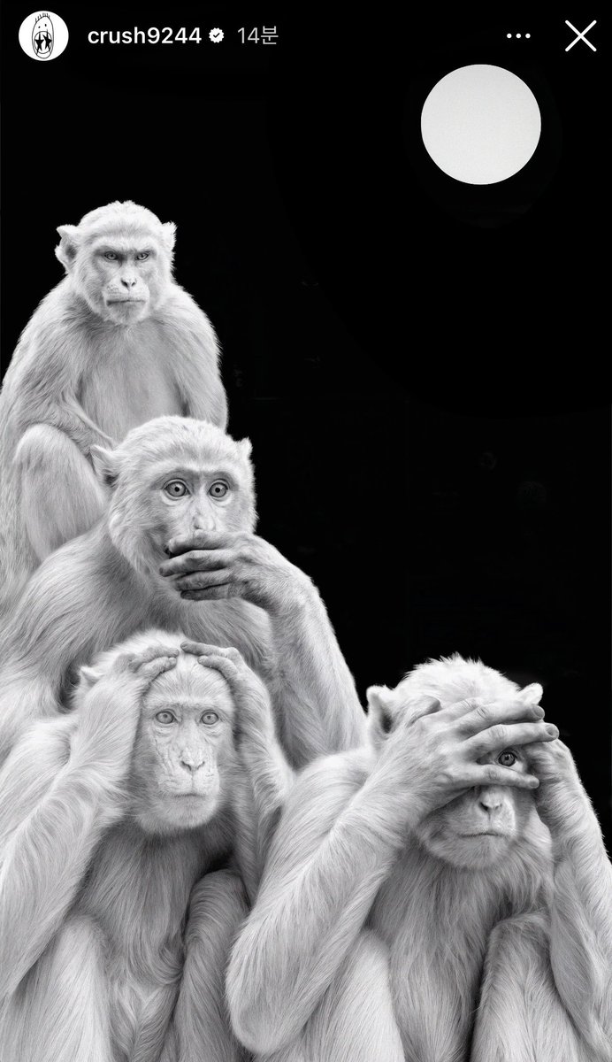 piing810's tweet image. 다같이 스토리 올리는거 귀엽넼ㅋㅋㅋ