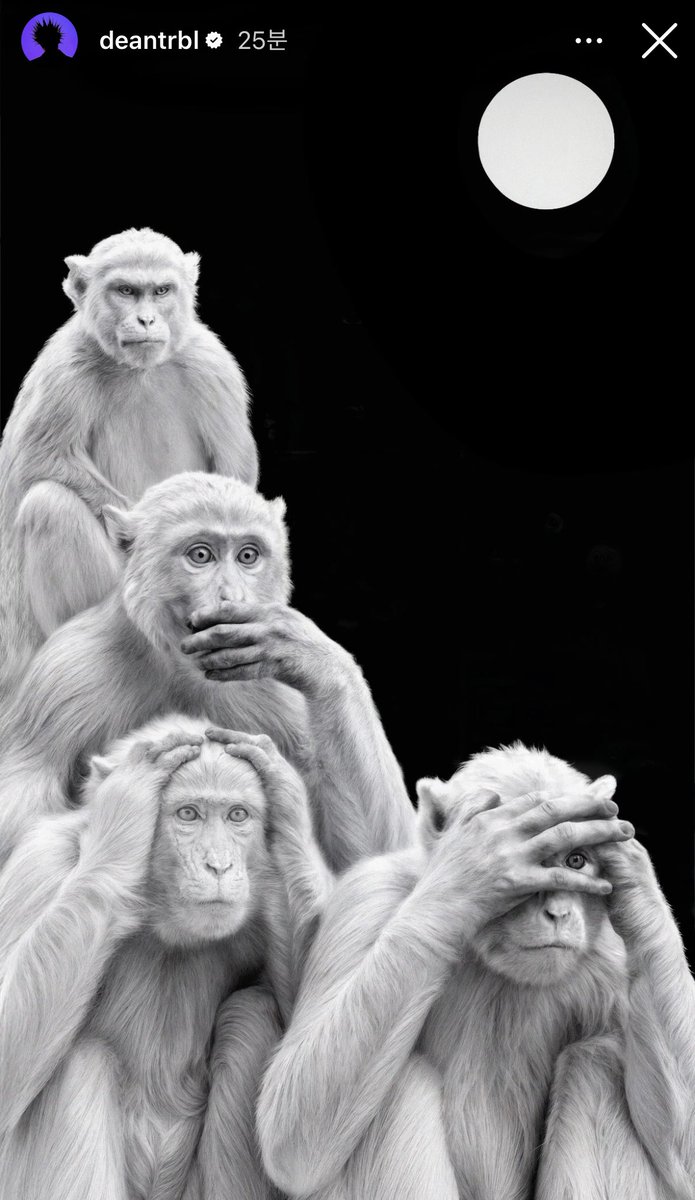 piing810's tweet image. 다같이 스토리 올리는거 귀엽넼ㅋㅋㅋ