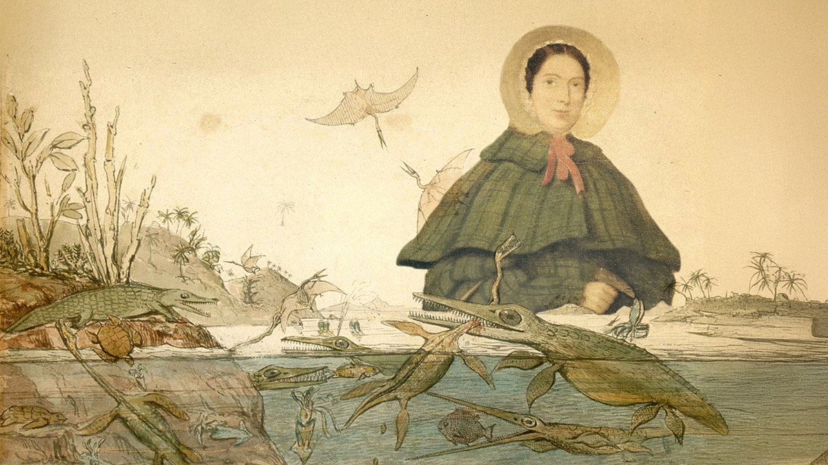 Universidad de La Rioja tweet media