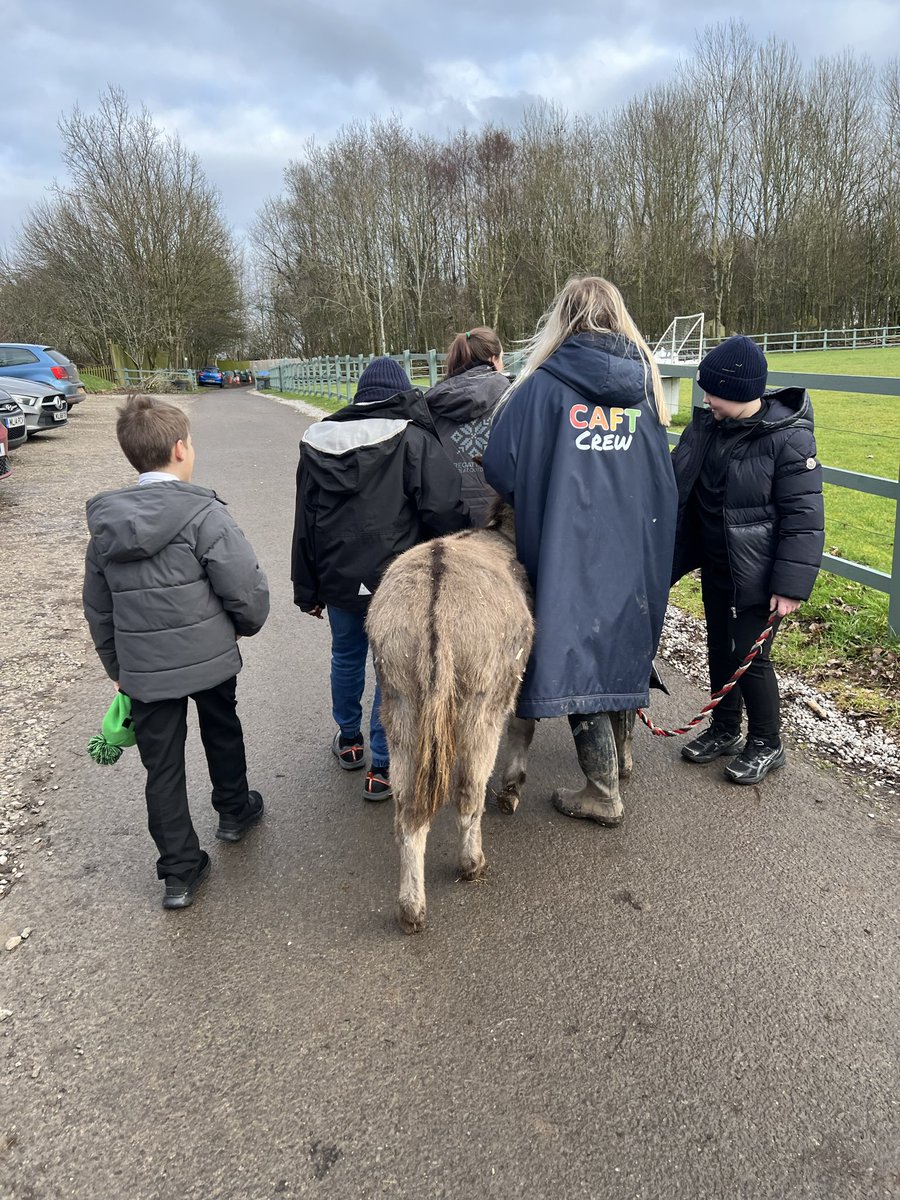 Mrs Bee 🐝 tweet media