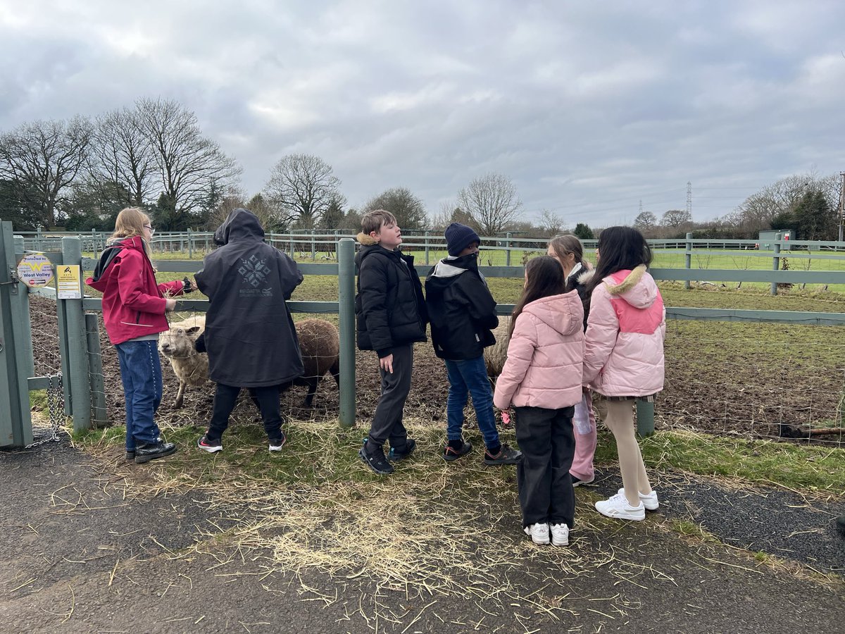 Mrs Bee 🐝 tweet media