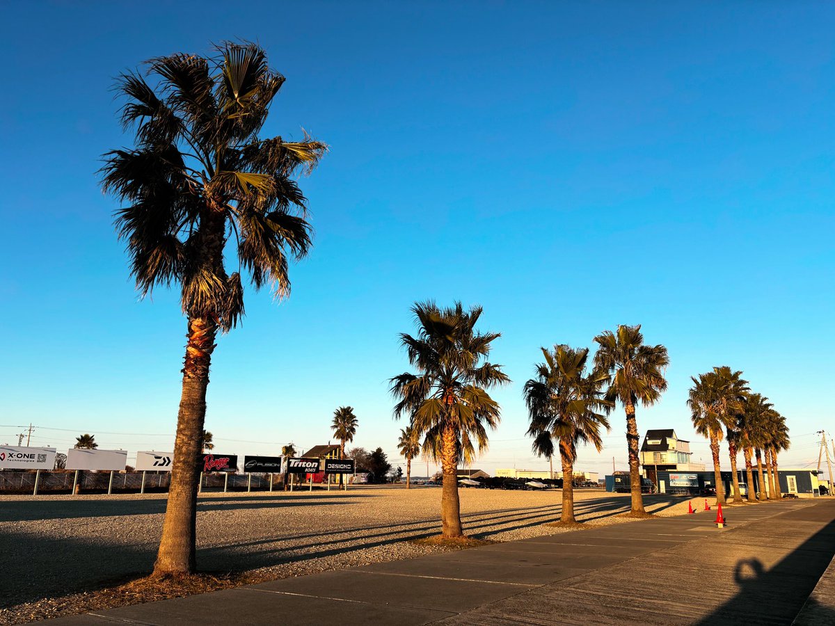 いつもとは逆のアングルから📷 実は写真の手前に見えてる2本のヤシの木