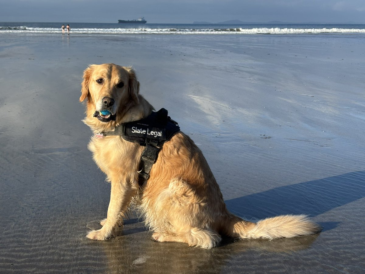 James Moss tweet media