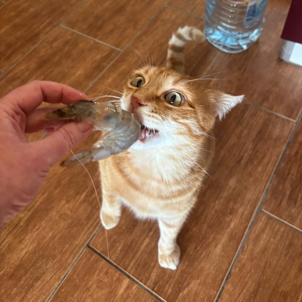 We're IdolMe. 🧠

PR architects for AI &amp; Web3 since 2013.

We share pure signal:
• AI breakthroughs decoded.
• Web3 &amp; crypto trends explained.
• Real playbooks for tech launches.

Follow for narratives, not noise. 👇

#AI #Web3 #Crypto