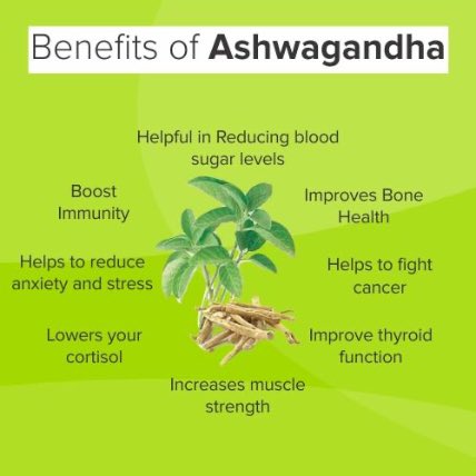 <a href="/Kheumani/">Kheumani</a> Benefits of Ashwagandha Powder &amp; Capsule

There are not single but many benefits of Ashwagandha Powder &amp; capsule that will amaze you. This natural herb, Ashwagandha is so magical that can help you sleep better, look younger, etc. It’s a gift to us.
From ancient times, this
