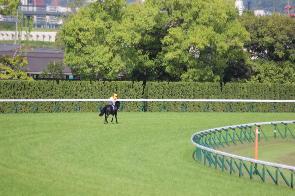 ジャスティンパレス Justin Palace (@Justin__Palace) / Posts / X