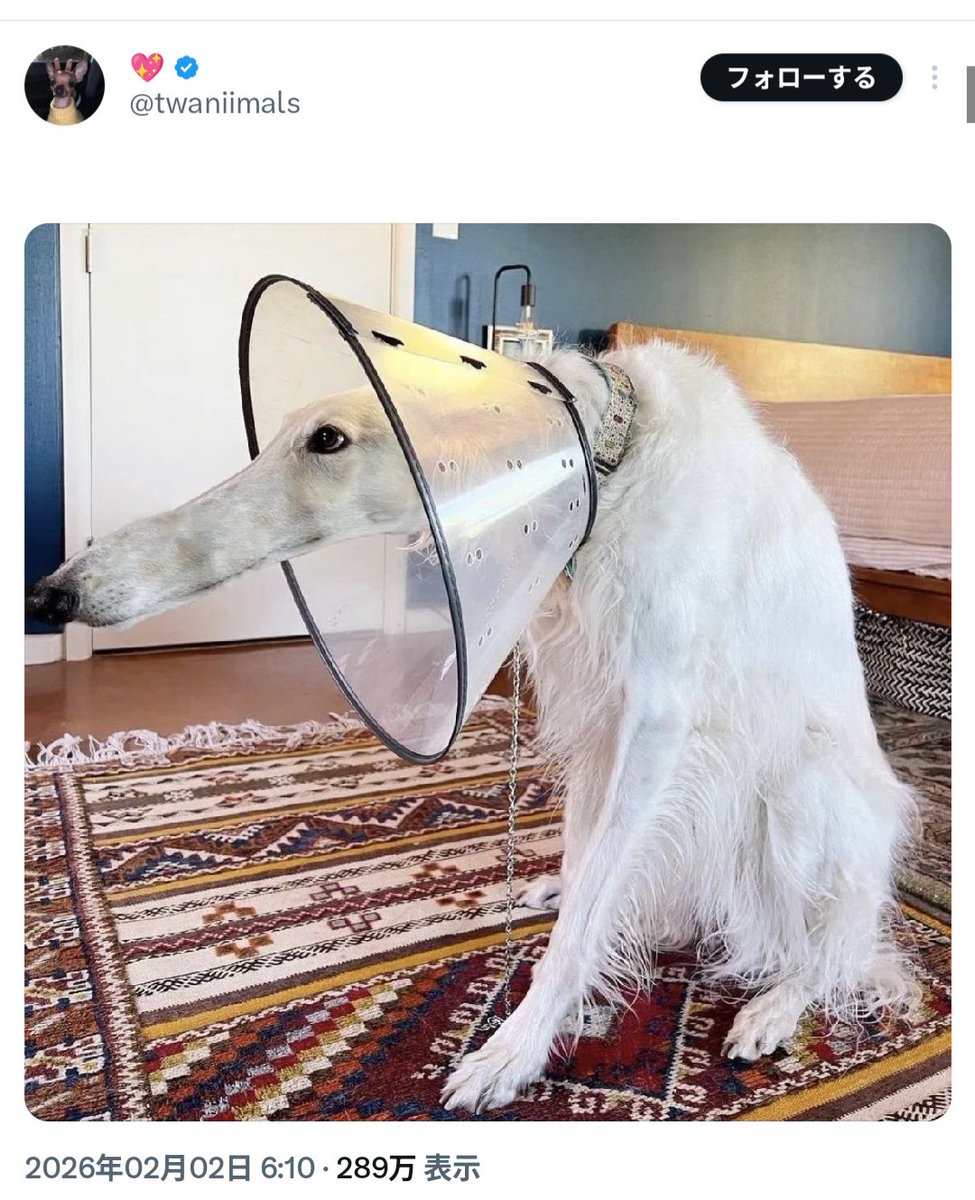 やっぱり、「絵が描ける」って強いよなと思いました。

「頭の中のイメージを他の人に視覚的に伝えられる」能力ってのは凄いよなぁ