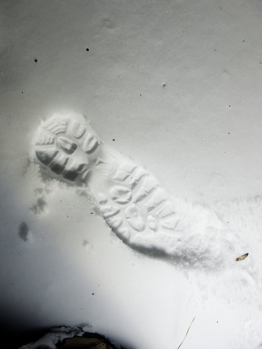 💙eren💙 tweet media