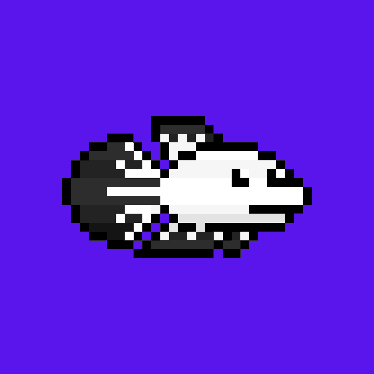 MarianoLM5's tweet image. Real Fish. Rare Fish.

A CryptoFish is more than a PFP—it’s a digital collectible with soul. Each NFT brings a real fish species to life in vibrant, hand-crafted pixel art, meticulously classified within a Linnaean system and defined by unique attributes tied to its geographic…