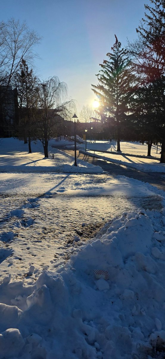 viroxcx's tweet photo. campus was so pretty today https://t.co/DgwJvbjXdB