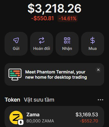 0xhieu tweet media