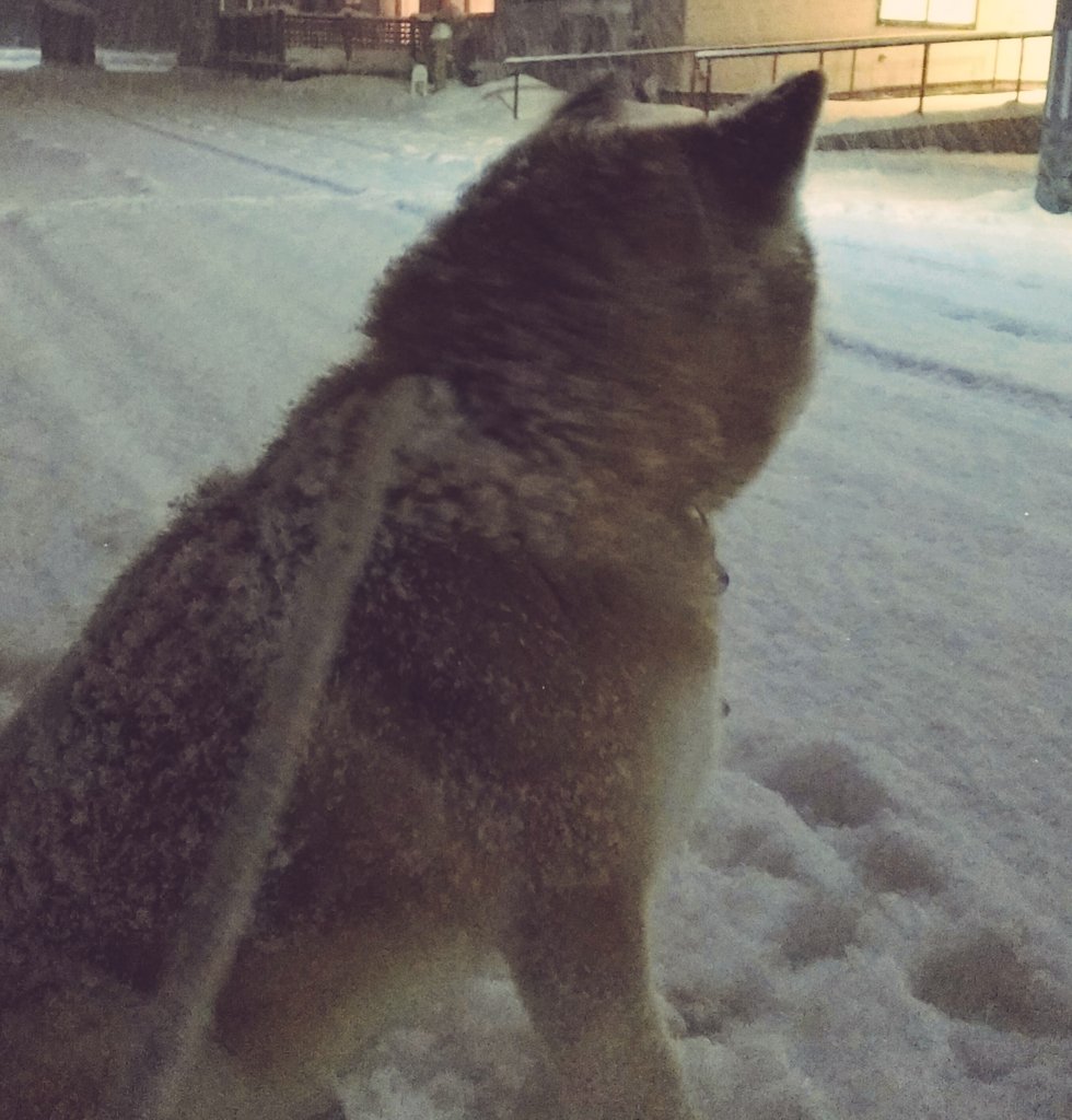 おきるねるきよはる
（ただ言いたかっただけ
）

-ちょいデカイ独り言な泣き言-

アレから（どれから？）
ちーとばかし寝て起きて

あー今日は資源ゴミ（紙類）の日だなってゴミ出して
「今日は紙の日じゃけどゴミないか？」ってあったら回収しよう思うて姐に連絡してる間に