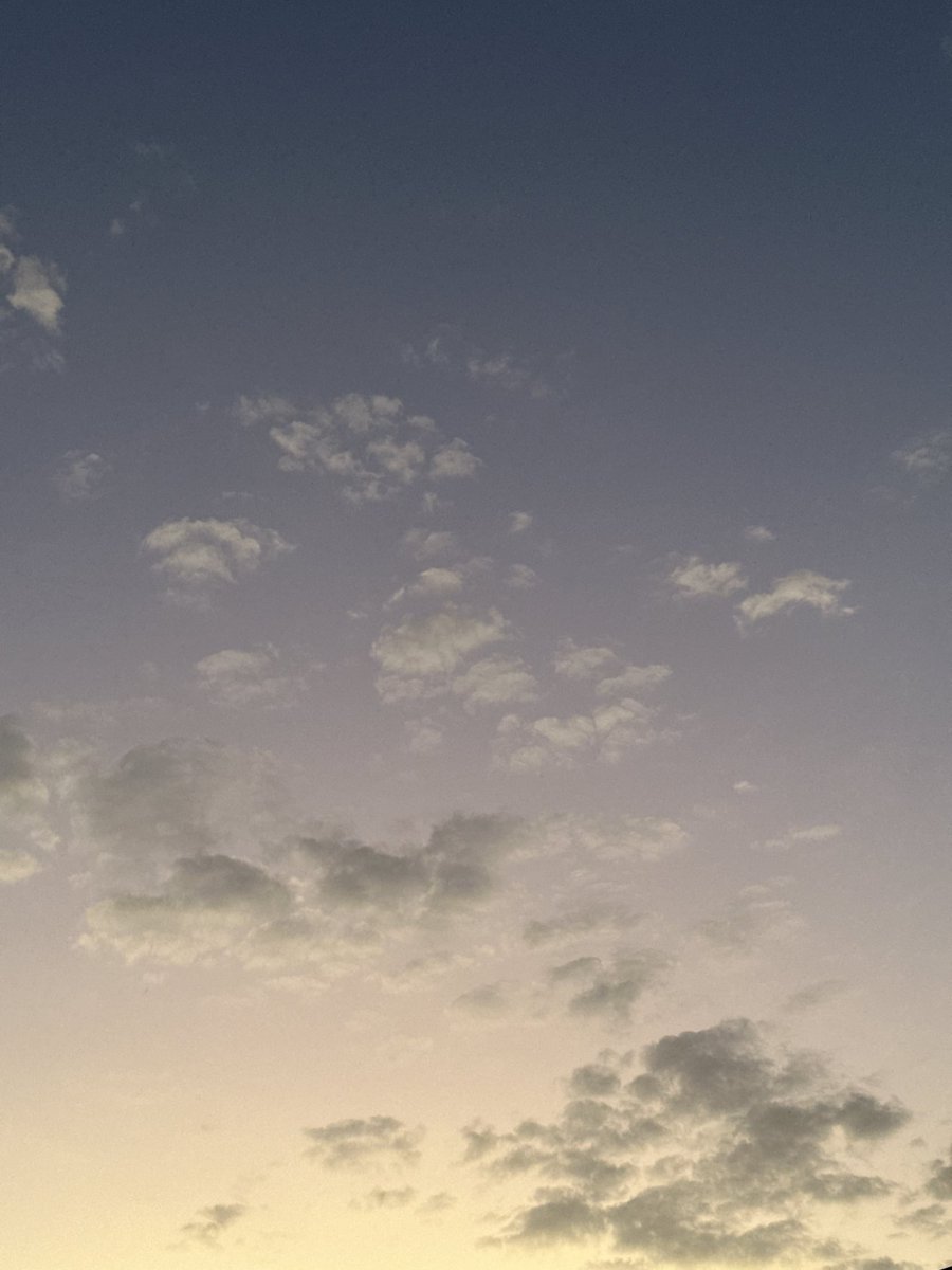 سنيوريتا tweet media