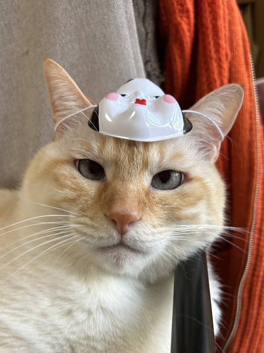節分ლ(=ↀωↀ=)ლ

#ささかまねこ 　#ねこx 　#猫　#笹かま猫 #ネコエックス #猫のいる暮らし #白猫詐欺団 #白猫詐欺被害者の会