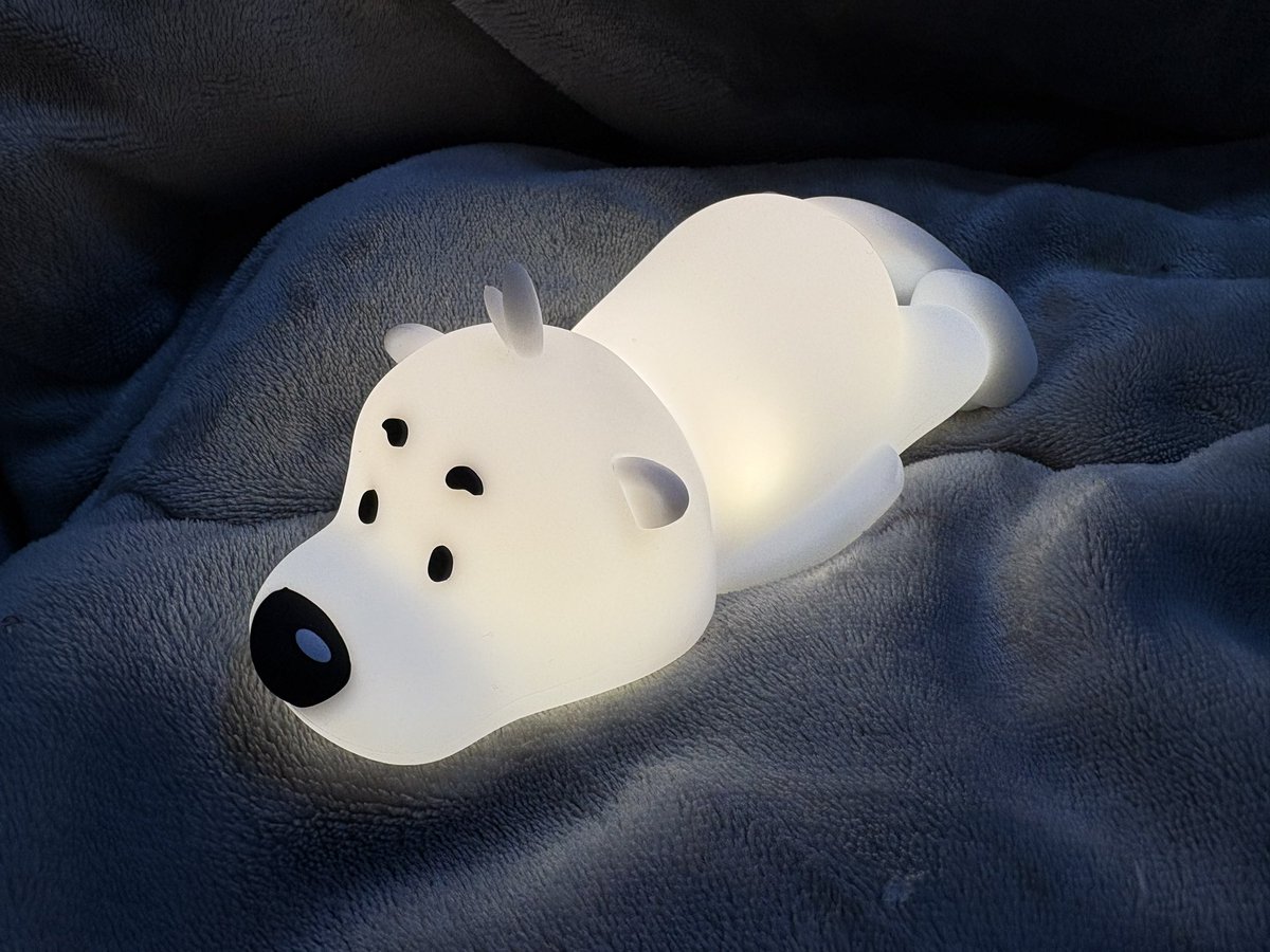 こないだのSUPER BEAVER kアリーナの物販で買った ビーバー🦫ちゃん