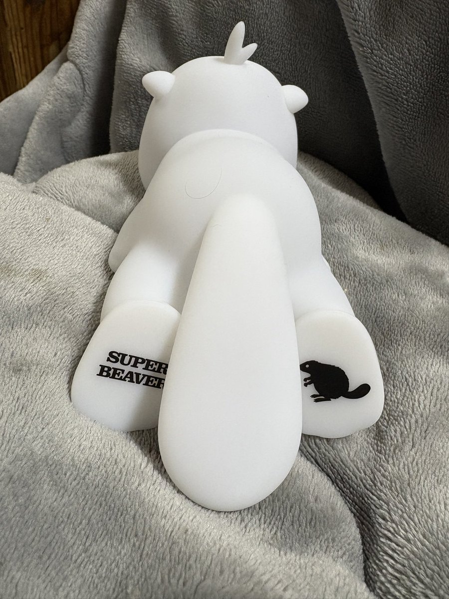 こないだのSUPER BEAVER kアリーナの物販で買った ビーバー🦫ちゃん