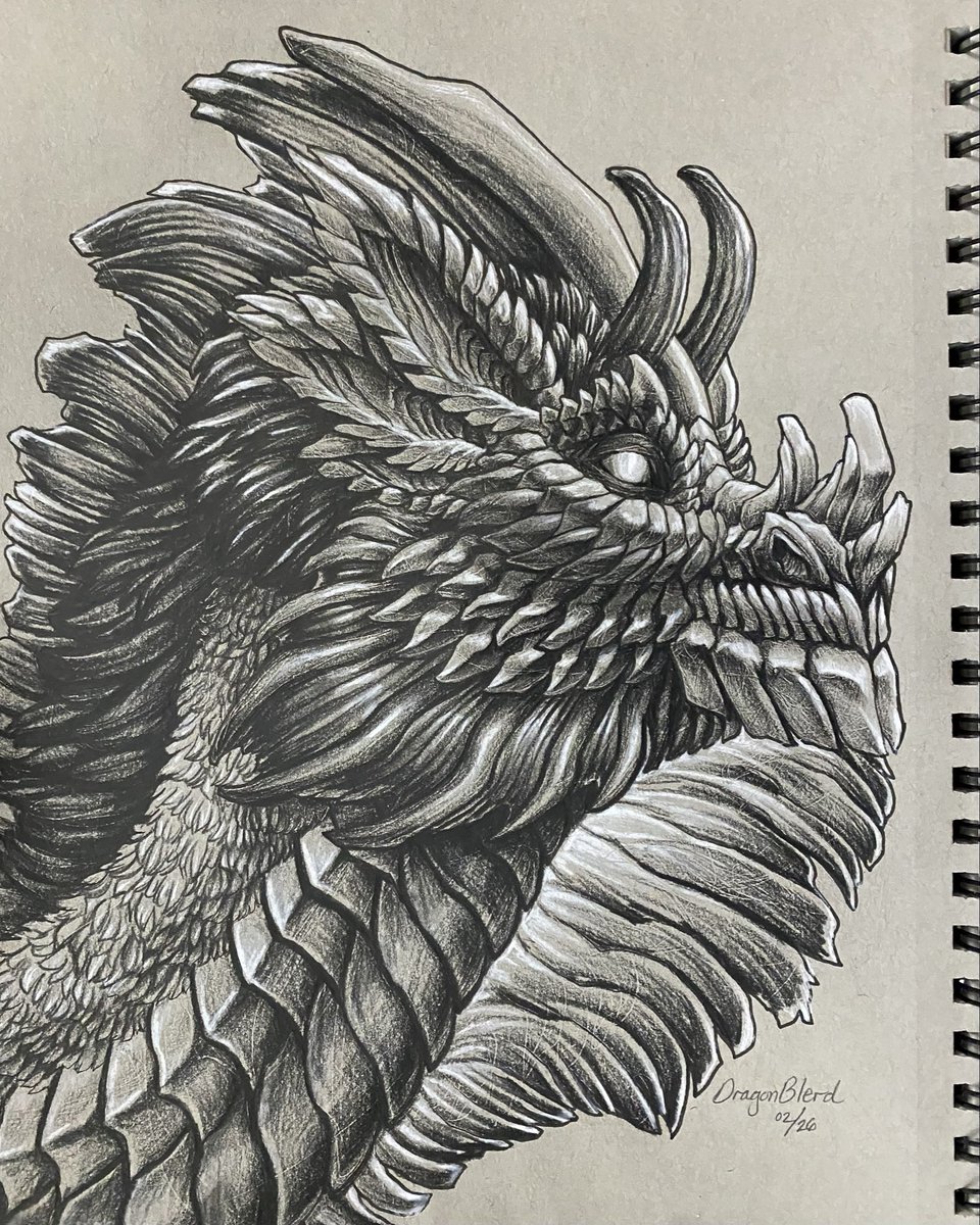 Black and White Dragon Drawing