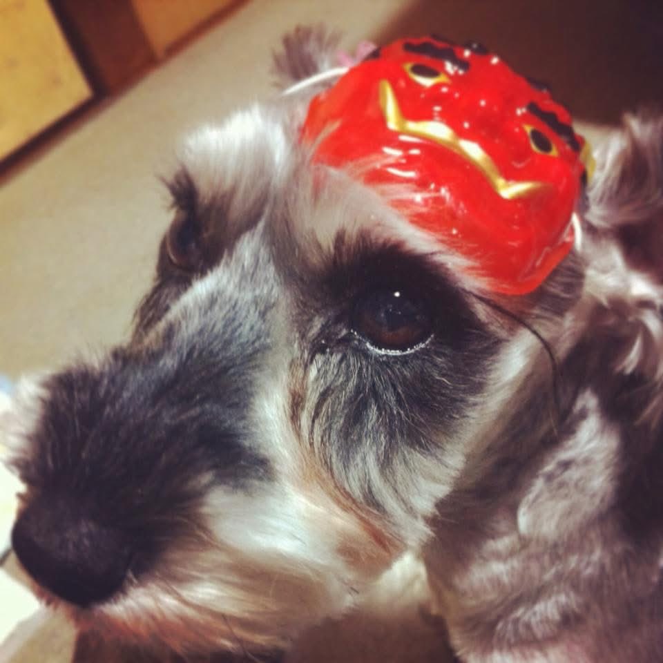 うーさん10年以上も前だけれども👹さんになっていました。
色々とお世話は増えてきたけれども、居てくれるだけで良いのだ、嬉しいのだ。