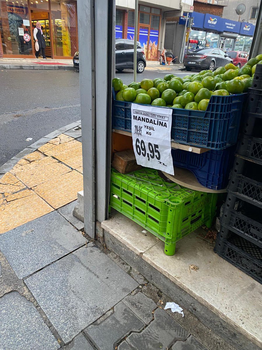 fipsavascisi1's tweet photo. 🔴ACİL YUVA🔴 Üç aylık civarı dişi çok işlek bir caddede bir marketin tezgahın altına sığınmış çok korkak çıkamıyor oradan acil bir yuvaya ihtiyacı var duyarlı hayvan severleri  bekliyoruz /ATAŞEHİR/05378297666 https://t.co/weBuaAPoqJ