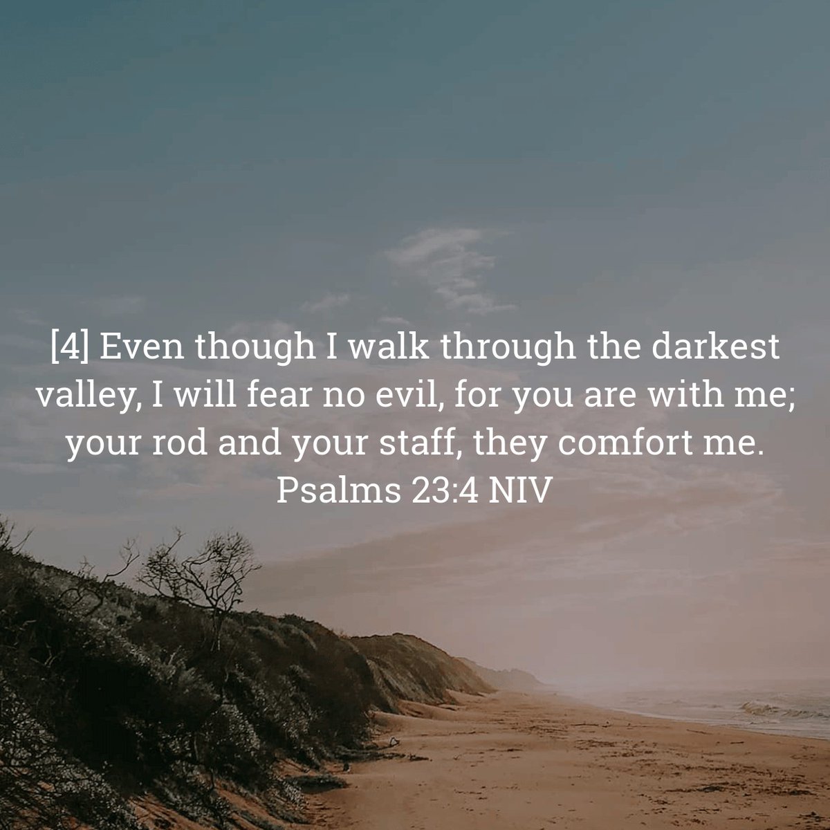 VERSE OF THE DAY

Psalms 23:4 NIV
[4] Even though I walk through the darkest valley, I will fear no evil, for you are with me; your rod and your staff, they comfort me.