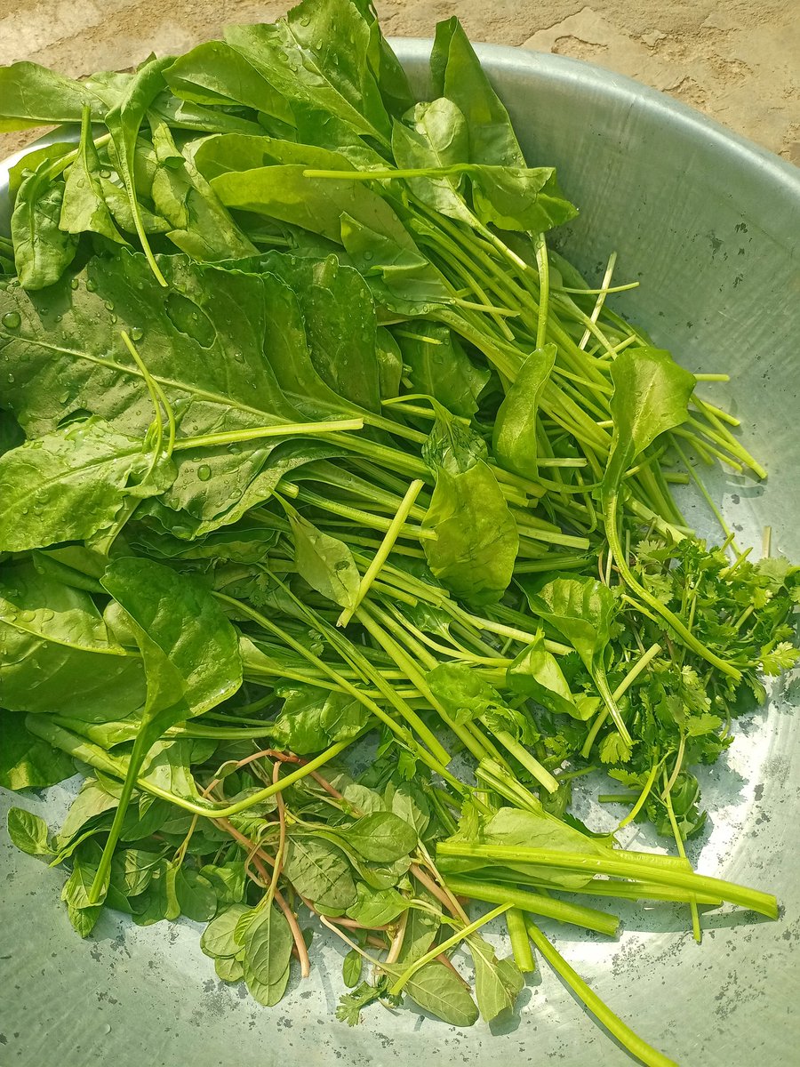 ઘર ની તાજી શાકભાજી