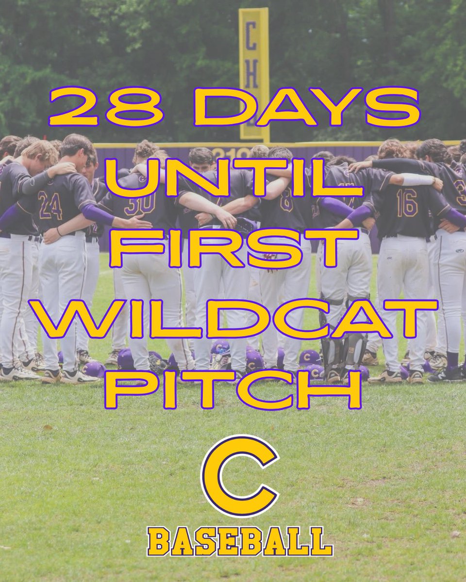 CHS Wildcat Baseball tweet media