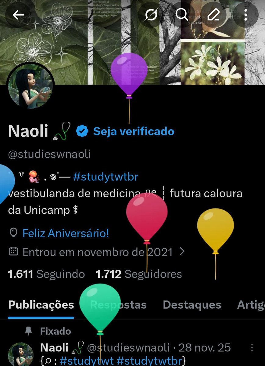 os balãozinhos subindo 🤏🏼🤏🏼, parabéns pra mim 🥳