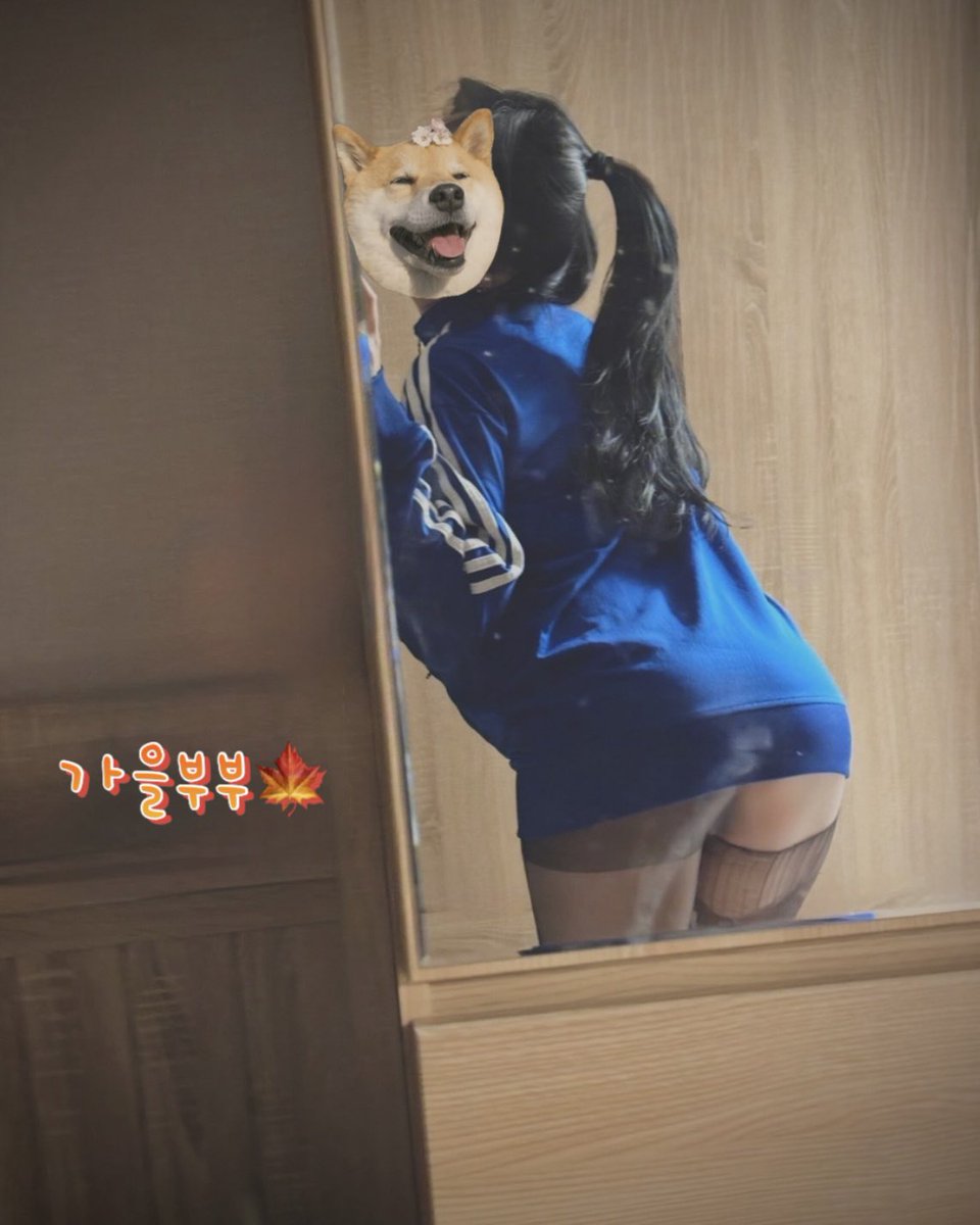 가을부부🍁 tweet media