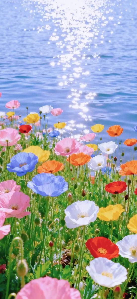 心灵书舫 | SoulSloop tweet media