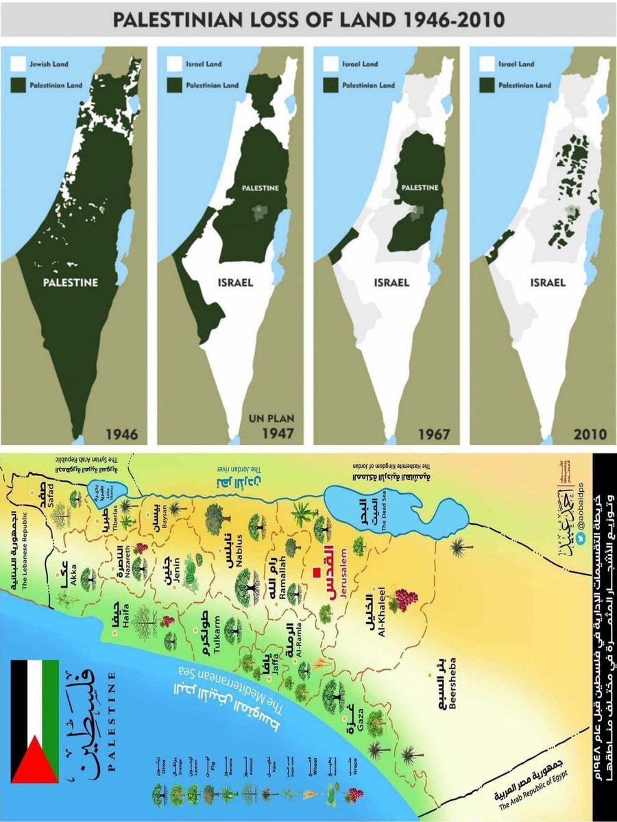 🇵🇸فلسطين Palestine🇵🇸

عام 1922 انتهت الخلافة العثمانية سياسيا و في 1924 قام الهالك كمال أتاتورك بإنهاء الخلافة بشكل كامل و أعلن قيام الجمهورية و ترأسها،و ما أن سقطت الخلافة العثمانية حتى بدأ التقسيم الإداري في الشرق الأوسط فتحولت الدولة الكبرى الى دويلات أو بالأصح مستعمرات