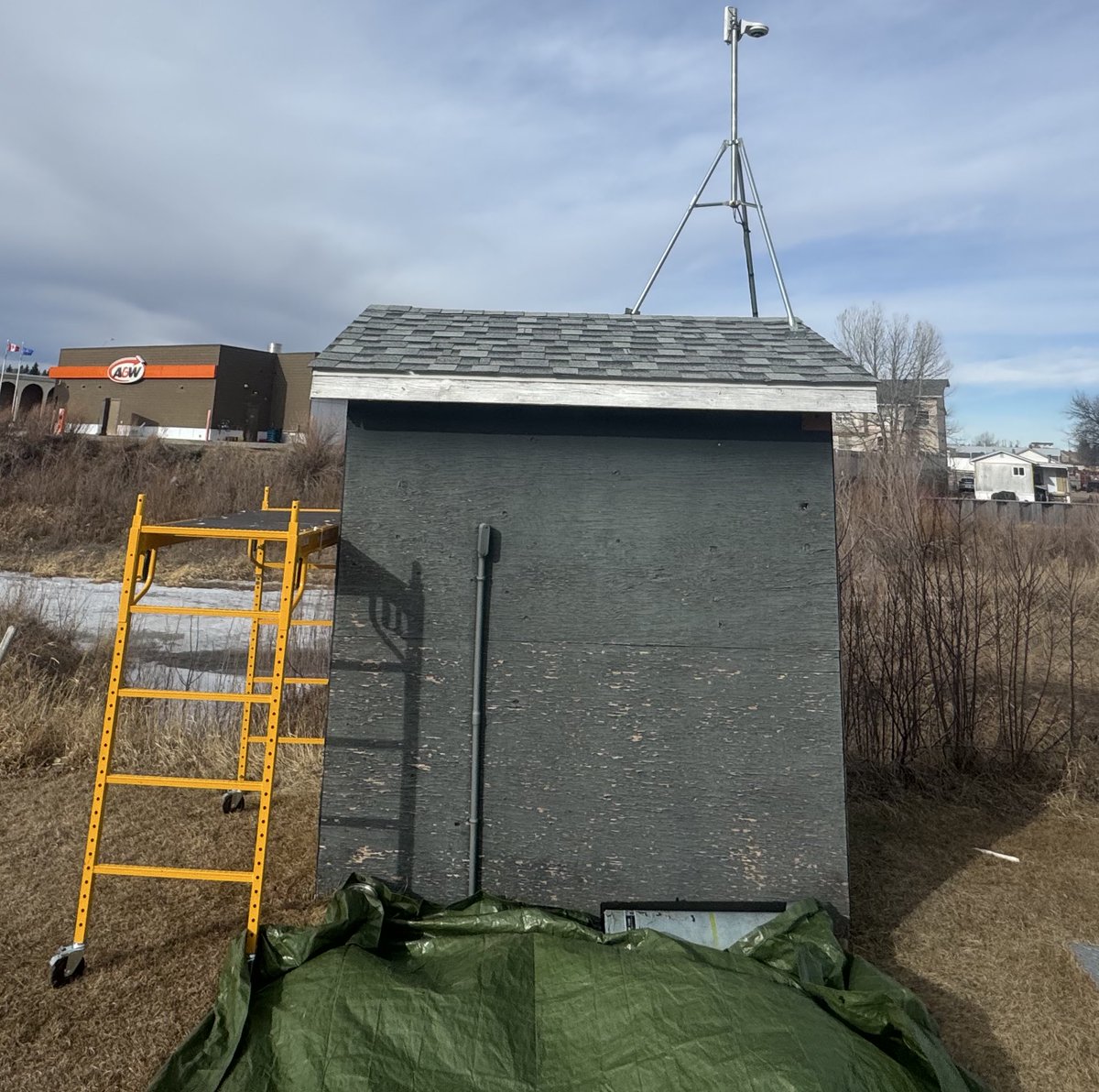 LouLUFC's tweet image. BITCH