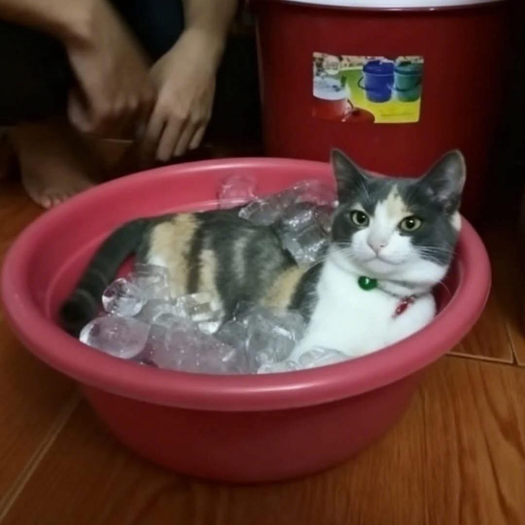 Esta es la famosa michelada.