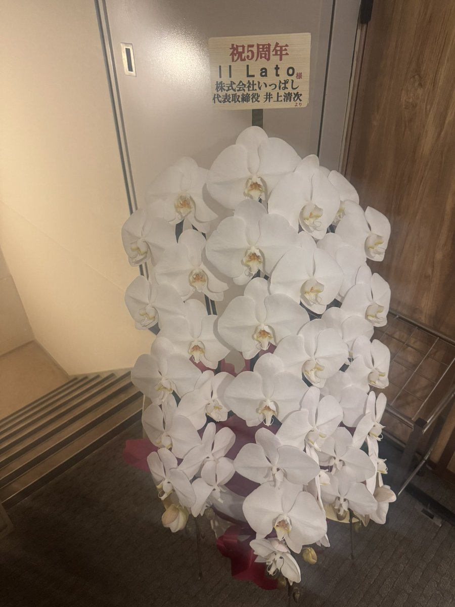 人望ないアタイになんか凄いの届いたは。