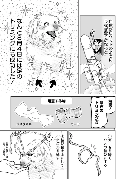 トリミング大嫌いで暴れる犬をなんとかしたい方はガーゼを使ったマズルを試すのがお勧めです🐶
パグとか鼻がひっこんでる犬種以外だったら多分通用する技かと思います✂️
#犬 #トリミング 