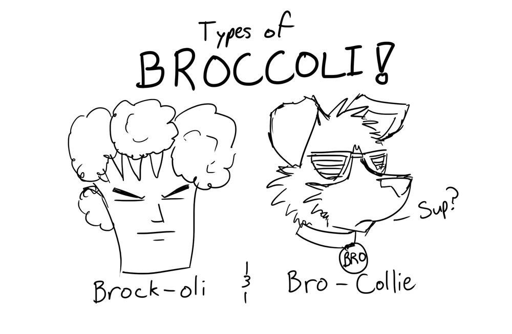 Collie King tweet media