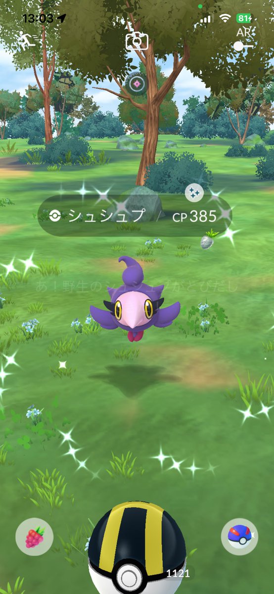 ASora01's tweet photo. 初めましてのコきたヽ(´▽｀)/
長かったなぁ🤔
めっちゃ嬉しい💜
#ポケモンGO
#ポケモンGO初めての色違い
#シュシュプ色違い https://t.co/CJeq6egx63