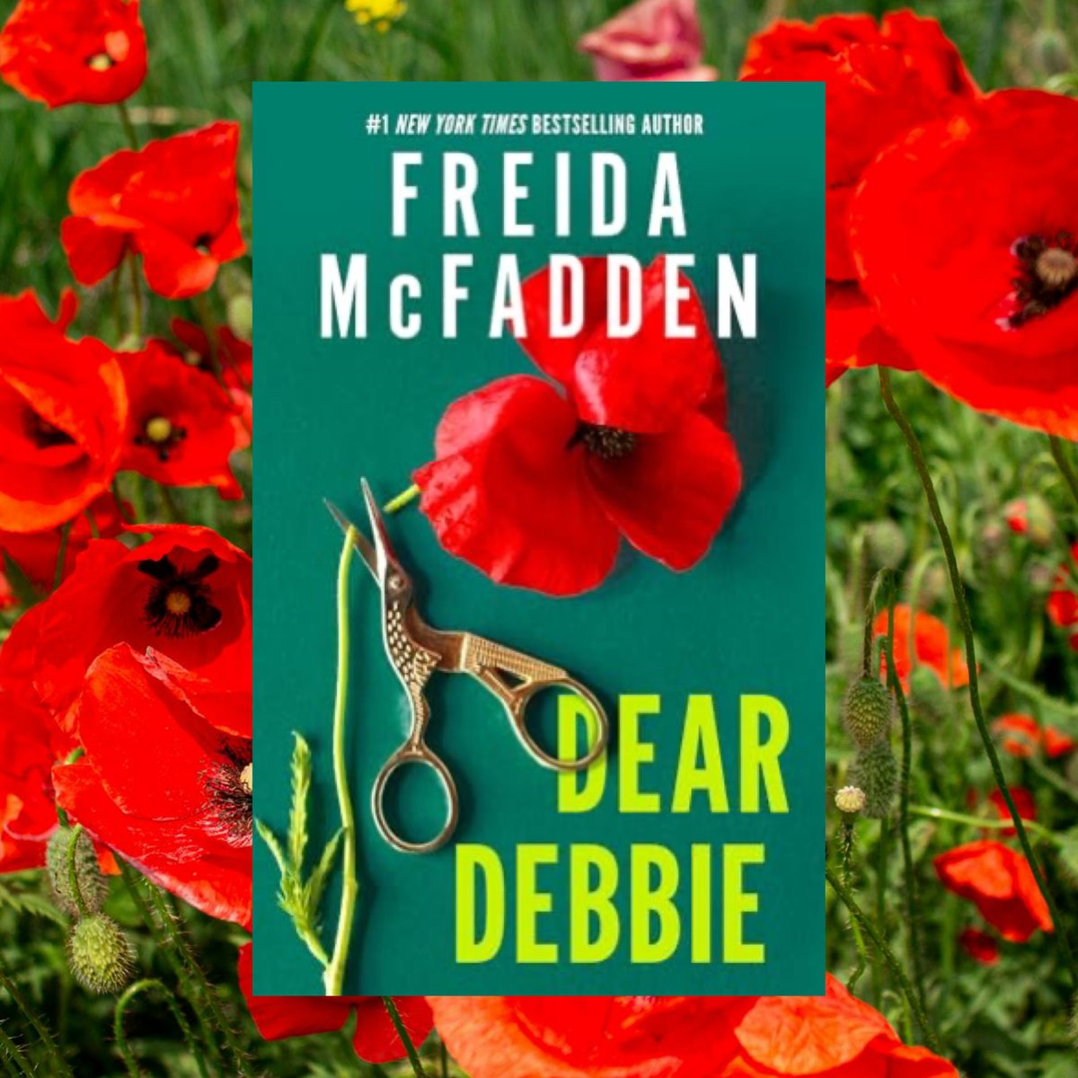 Waves of Fiction: Review: Dear Debbie by Freida McFadden <a href="/Dreamscapeaudio/">Dreamscape Media</a>  wavesoffiction.blogspot.com/2026/02/review…