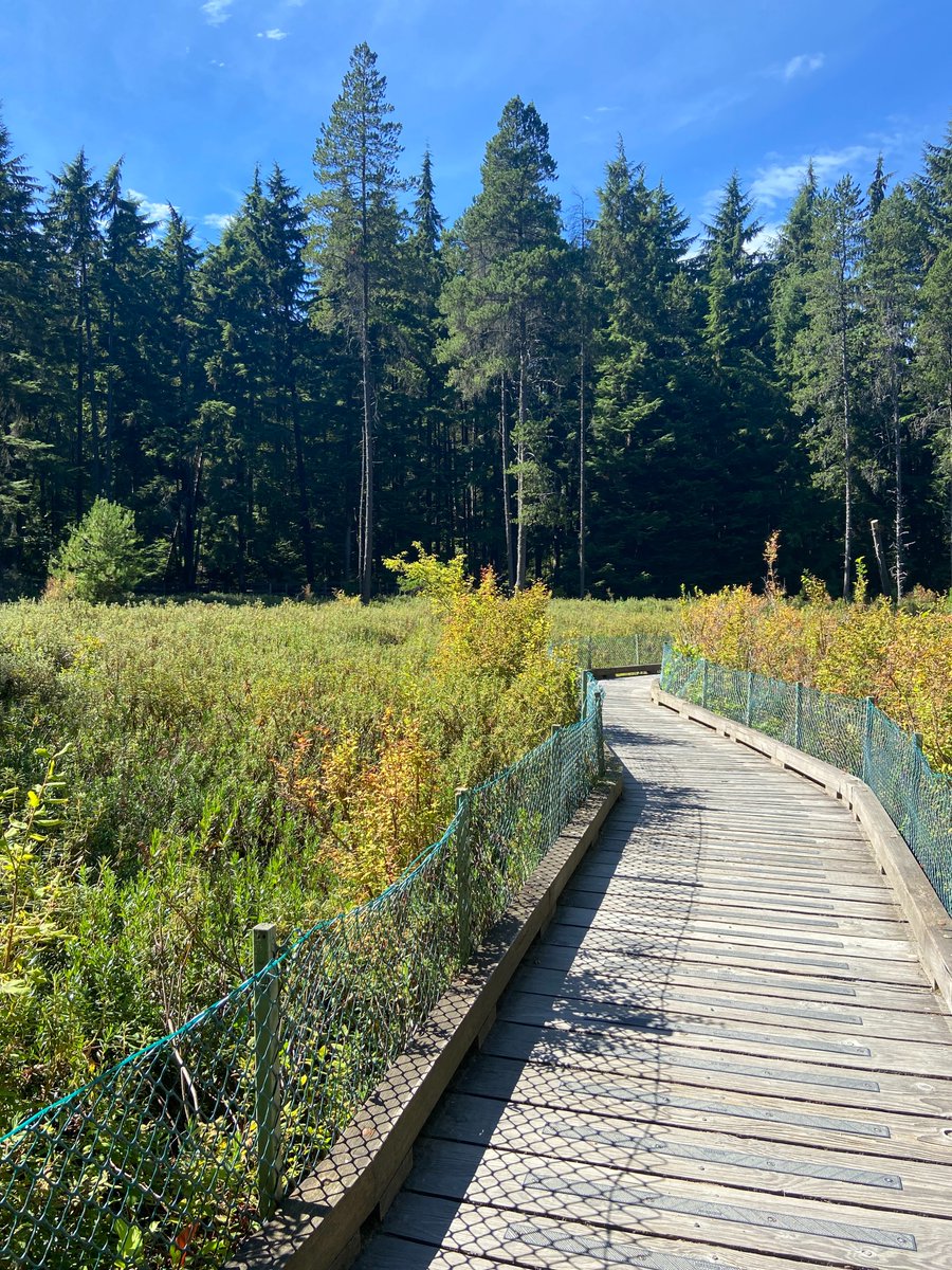 Vancouver Public Space Network tweet media