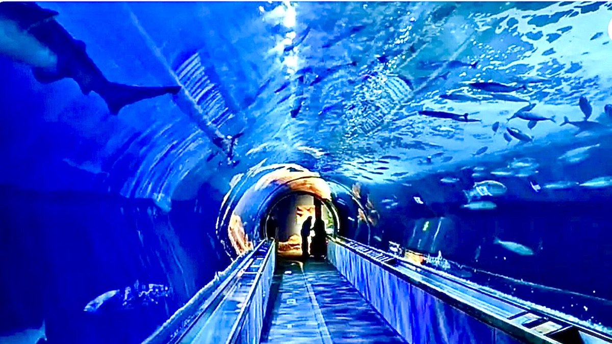 ArtsySF © Art & Photography tweet media