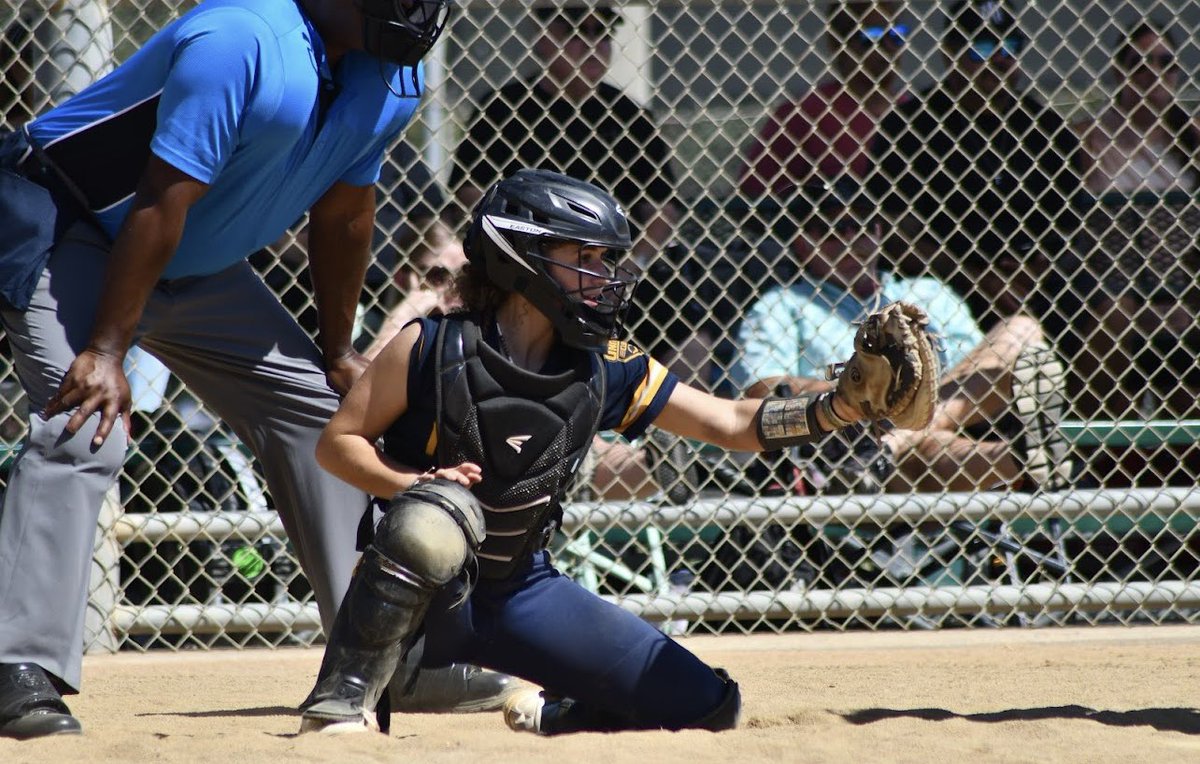 Kam Morris tweet media