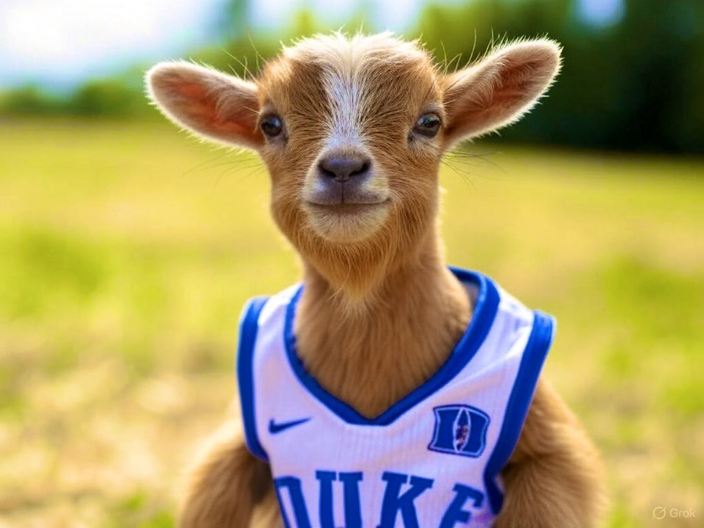 BrewDuke's tweet image. DUKE is College🏀’s STANDARD.
#TheBrotherhood

Coach Scheyer ➡️ #Baby 🐐
Got invaluable experience the last few yrs &amp;amp; his 1st Coaching Natty coming soon. 
Then DUKE DOMINANCE will 💯 be unlike anything seen since Wooden.

DUKE’s just getting started…despite all the haters envy!
