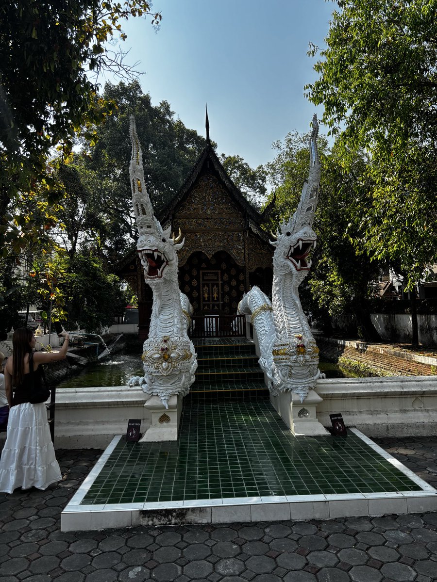 thereitsu's tweet image. Chiang Mai is ❤️