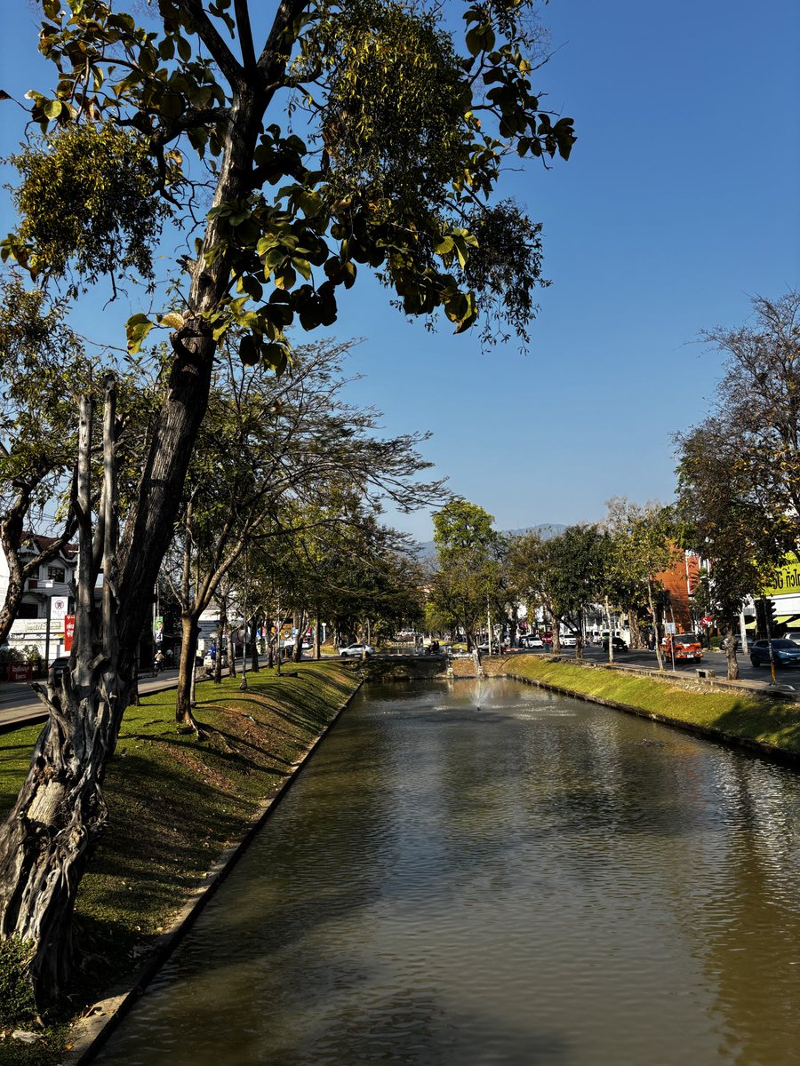 thereitsu's tweet image. Chiang Mai is ❤️