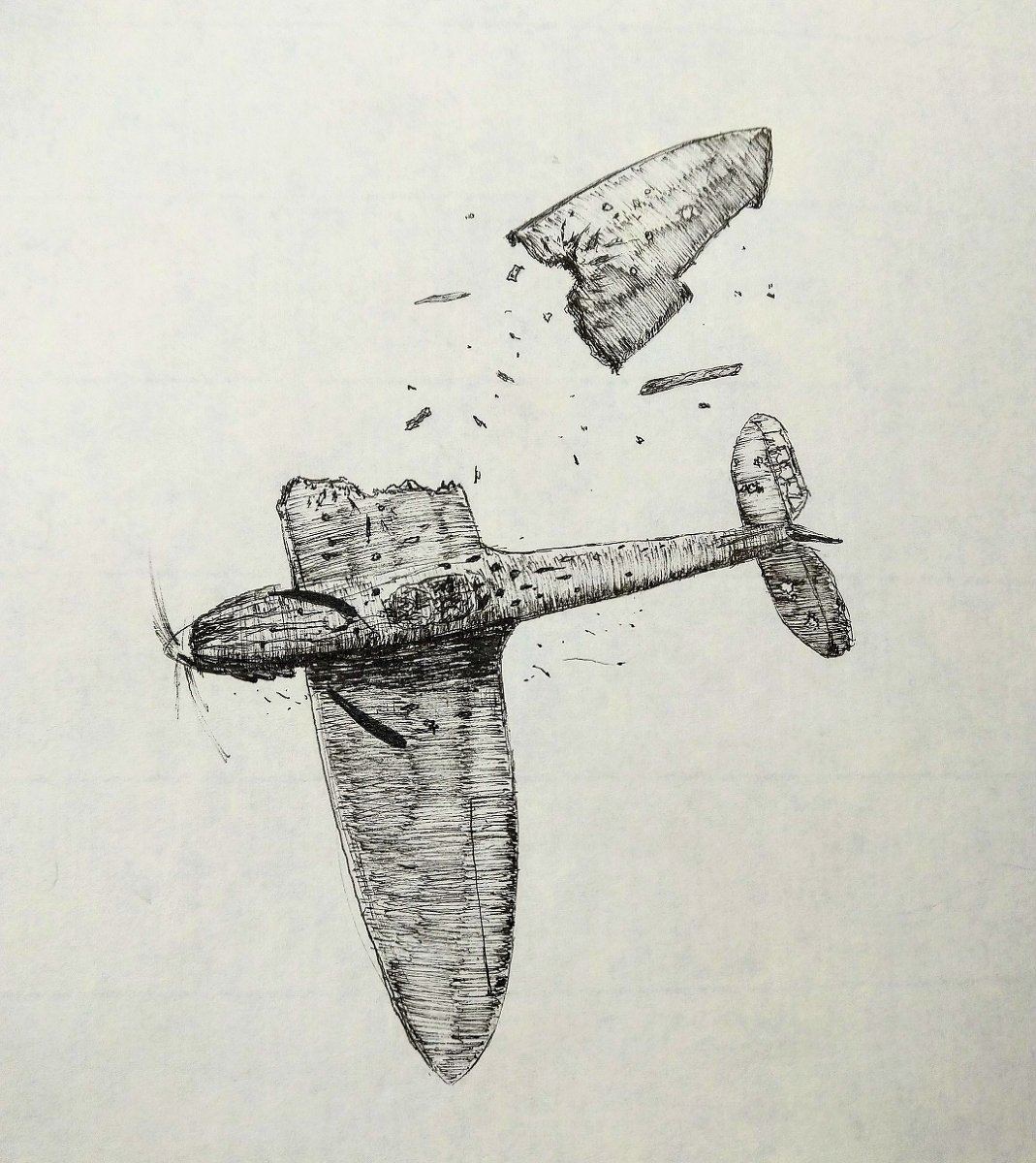 やばぴ (@yabahi_chan) on Twitter photo 