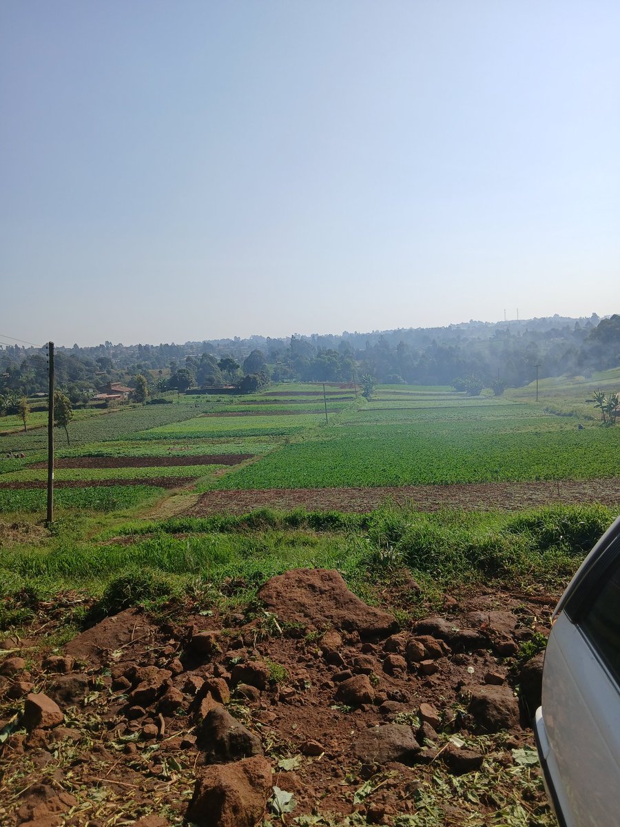 _donga254's tweet photo. Umetembea sides za Zambezi,Redhill and its environs? https://t.co/gXAJgMzBX9