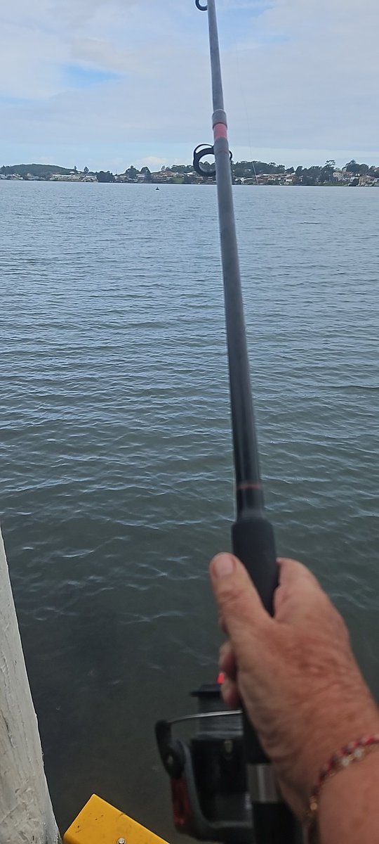 kerrie barraclough tweet media