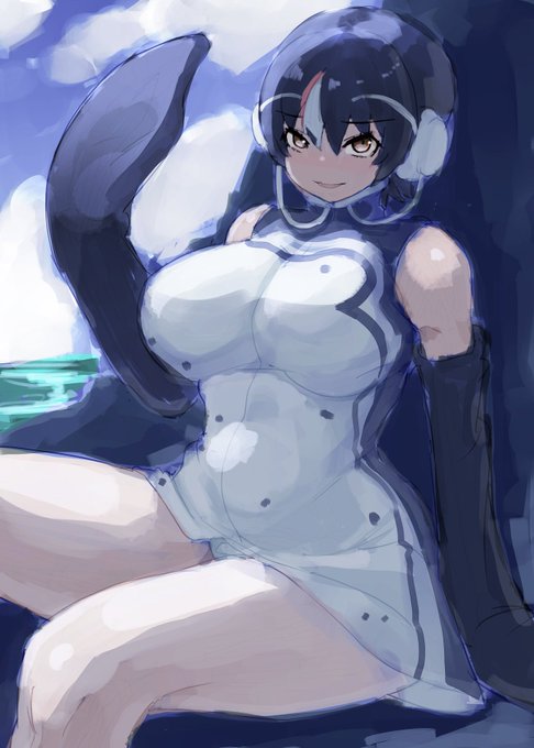 ガラパゴスペンギン
60分 