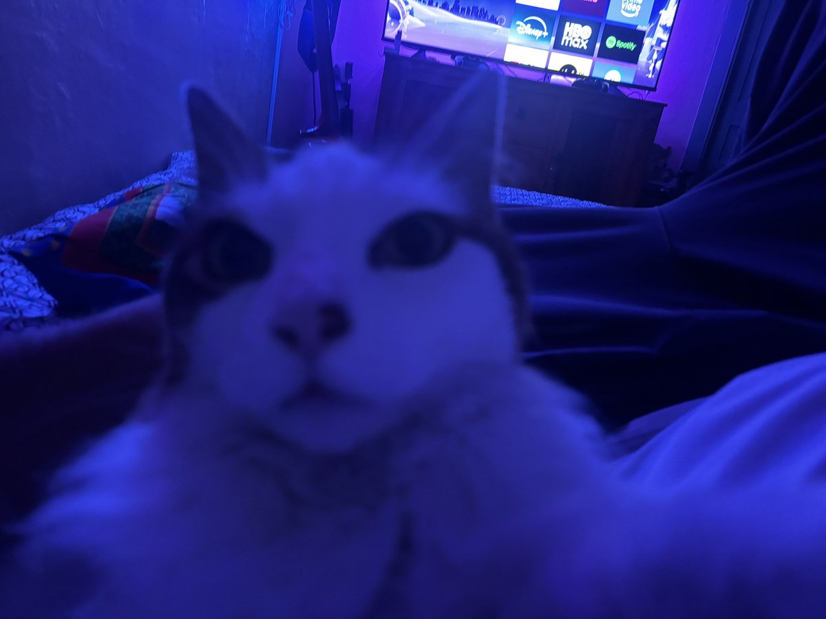 ElJoySick tweet media